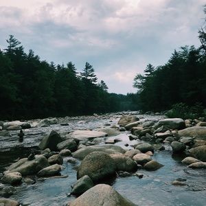 Meet your Posher, Sofia